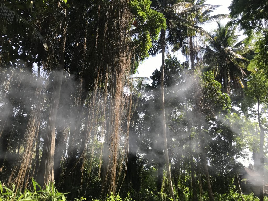 Big Palms Ubud