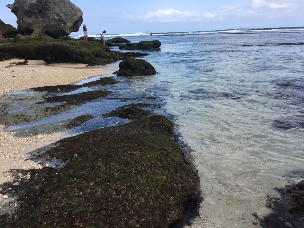 Exploring Single Fin Beach